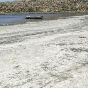 bafa golu can cekisiyor kokudan yaklasmak mumkun degil P52IpYtU