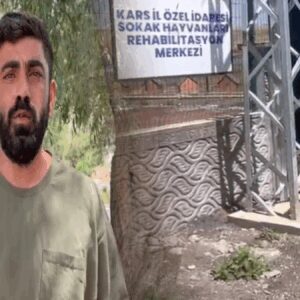 bu mu merhamet barinakta katliam gQyNIvp2