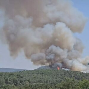 izmirde orman yangini YyFzBaTN