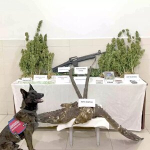 uyusturucu ve kacak avcilikla tutuklama SKqYis9S