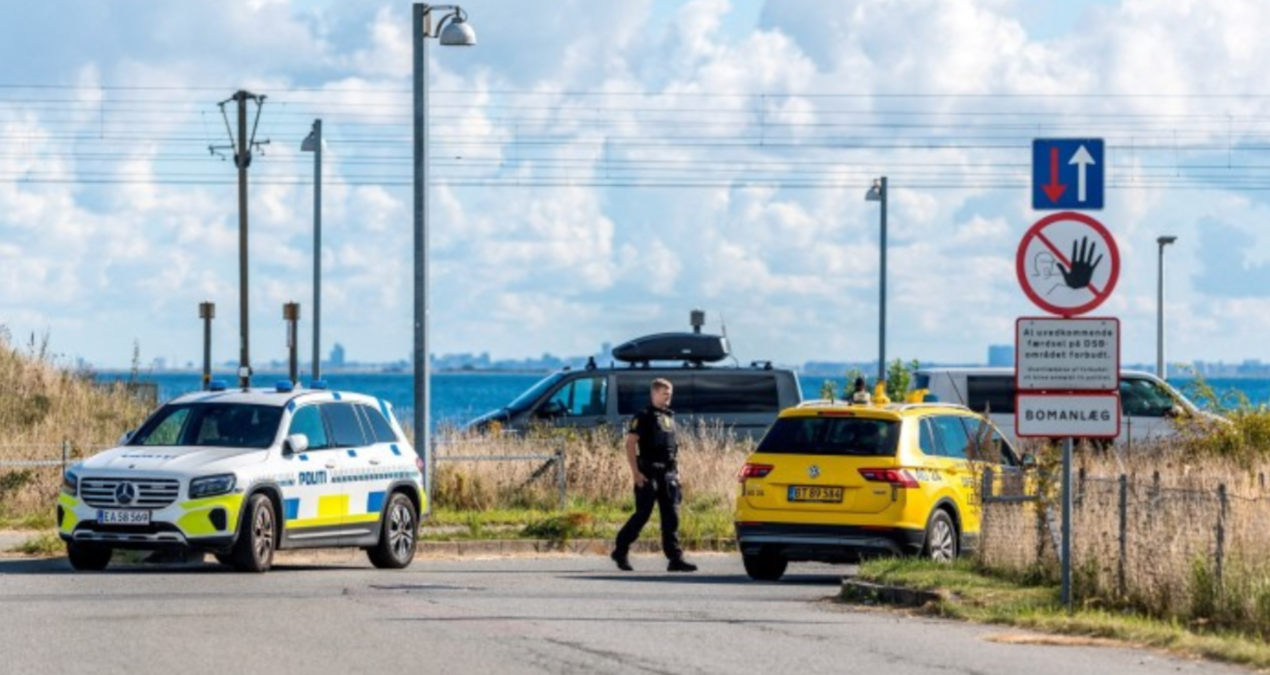 danimarkayi istila eden ihalar ulkenin hava trafigini felc etti gOxlHSrS