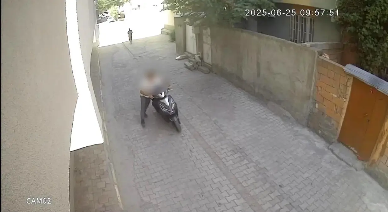 diyarbakirda hirsizlik operasyonu 5 gozalti cY9VW3XW