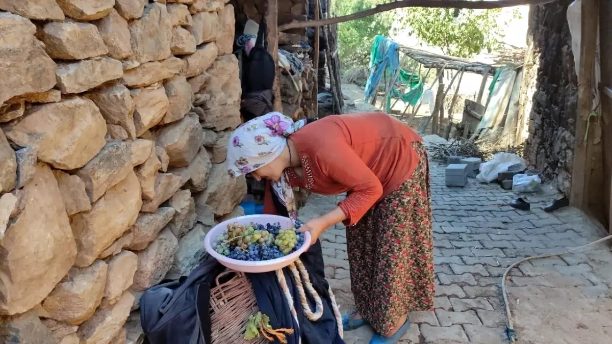 erzincanda kis hazirligi meyve kurutma 2wdfE4ir