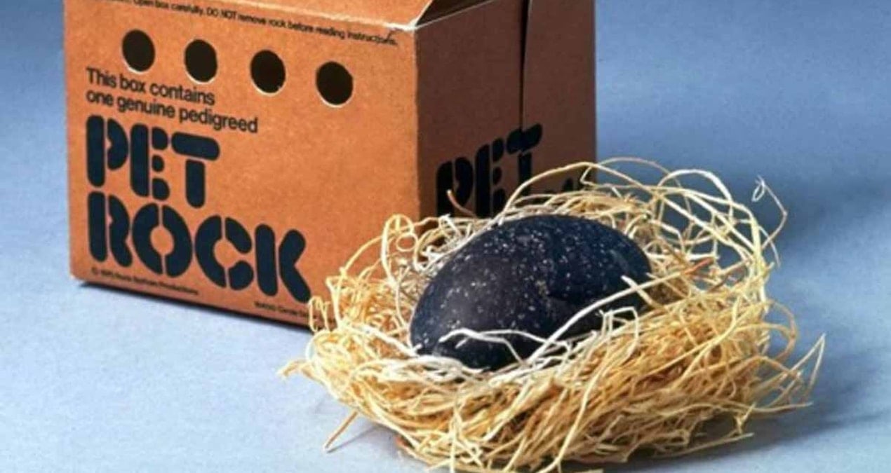 her sey bir barda sakayla basladi bakim gerektirmeyen evcil hayvan fikri onu milyoner yapti 9NFKz2qt