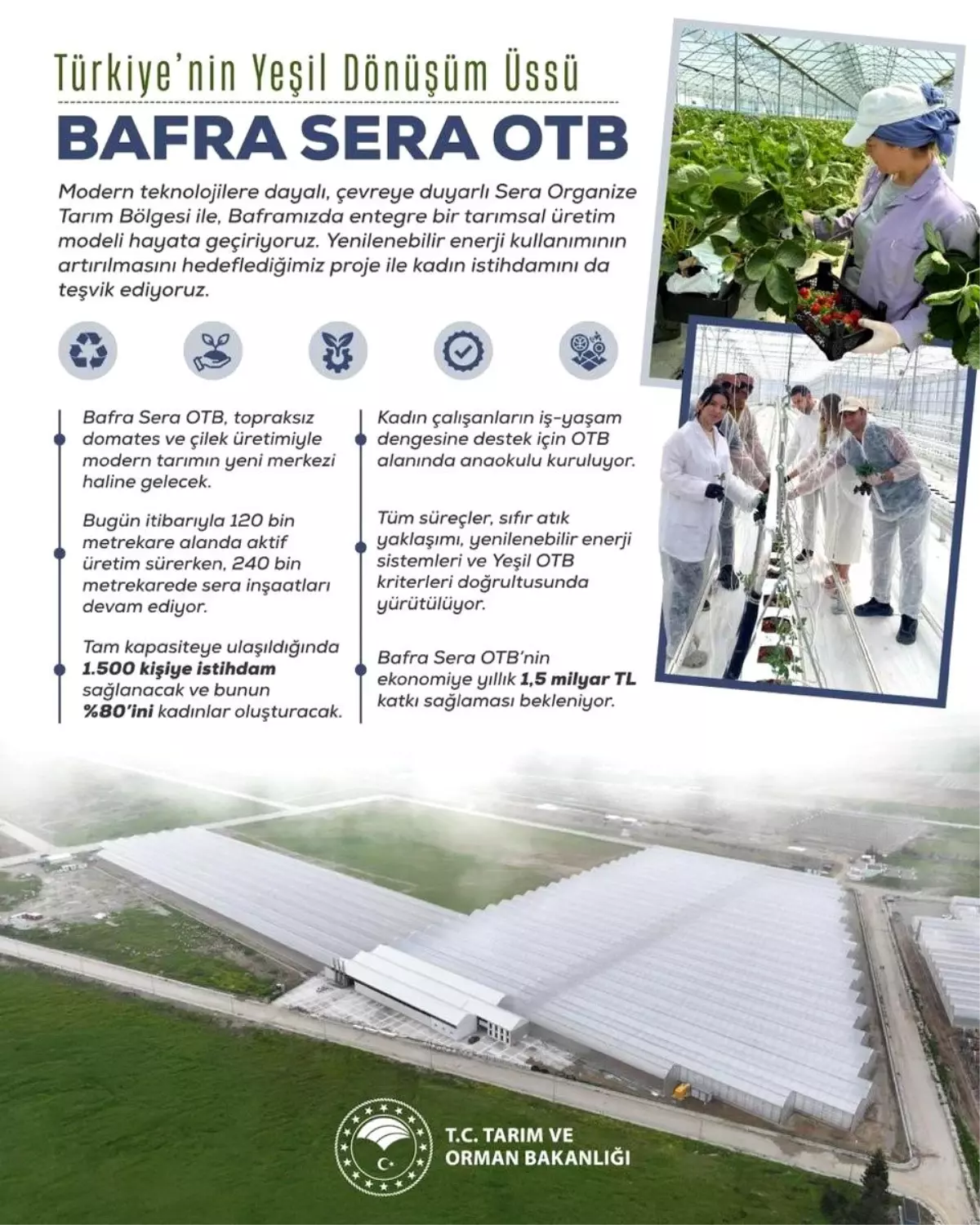 bafra sera organize tarim bolgesi projesi kadin istihdami ve ekonomik katki ZvwLYh1i.jpg