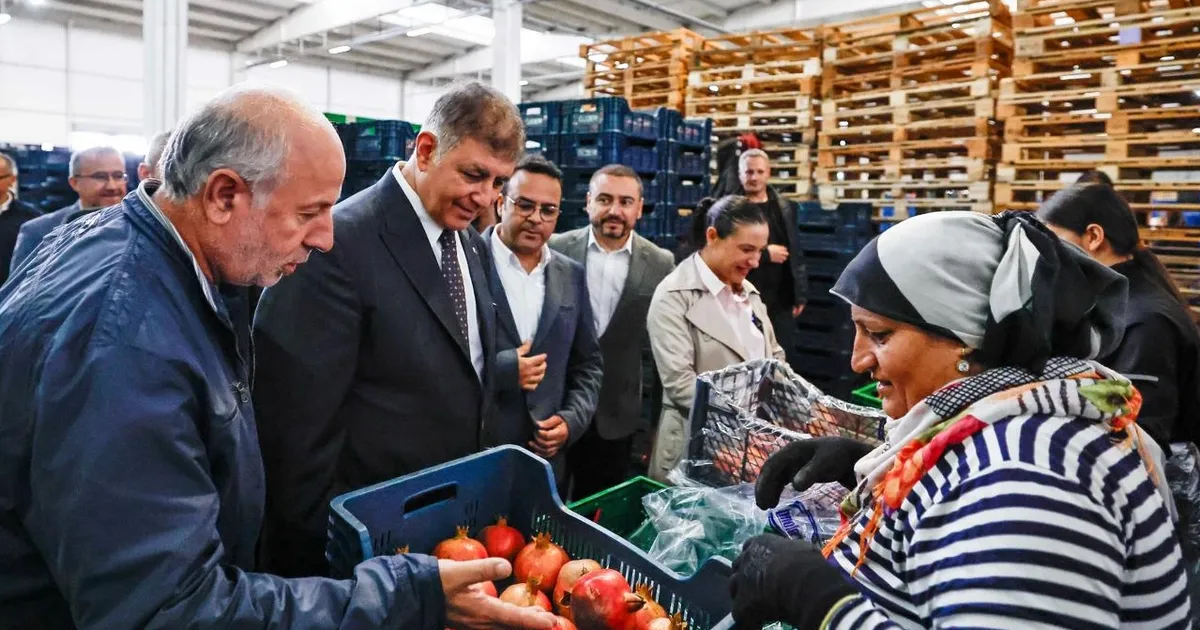 baskan tugay gelecek calisarak guzel olacak phElHjSX