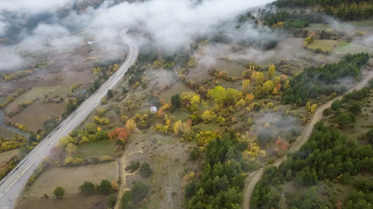 ilgaz daginda sis etkisi iVlyffwf.jpg