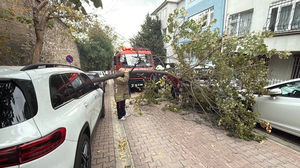 istanbulda siddetli ruzgar etkili oldu agac ve elektrik diregi araclarin ustune devrildi KtrSPrrr.jpg