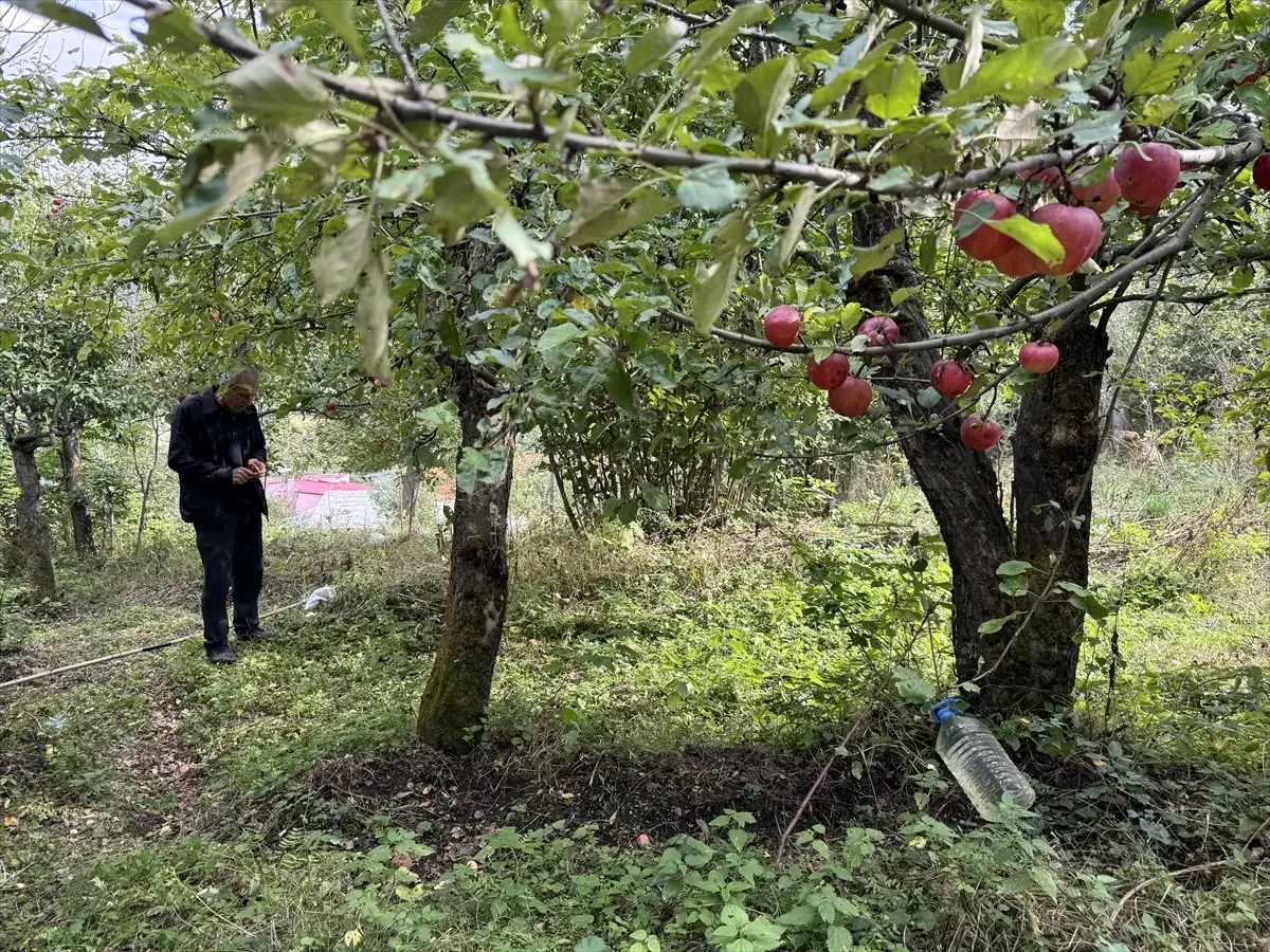 posof badele elmasi hasadi basladi Xqjqgj6F