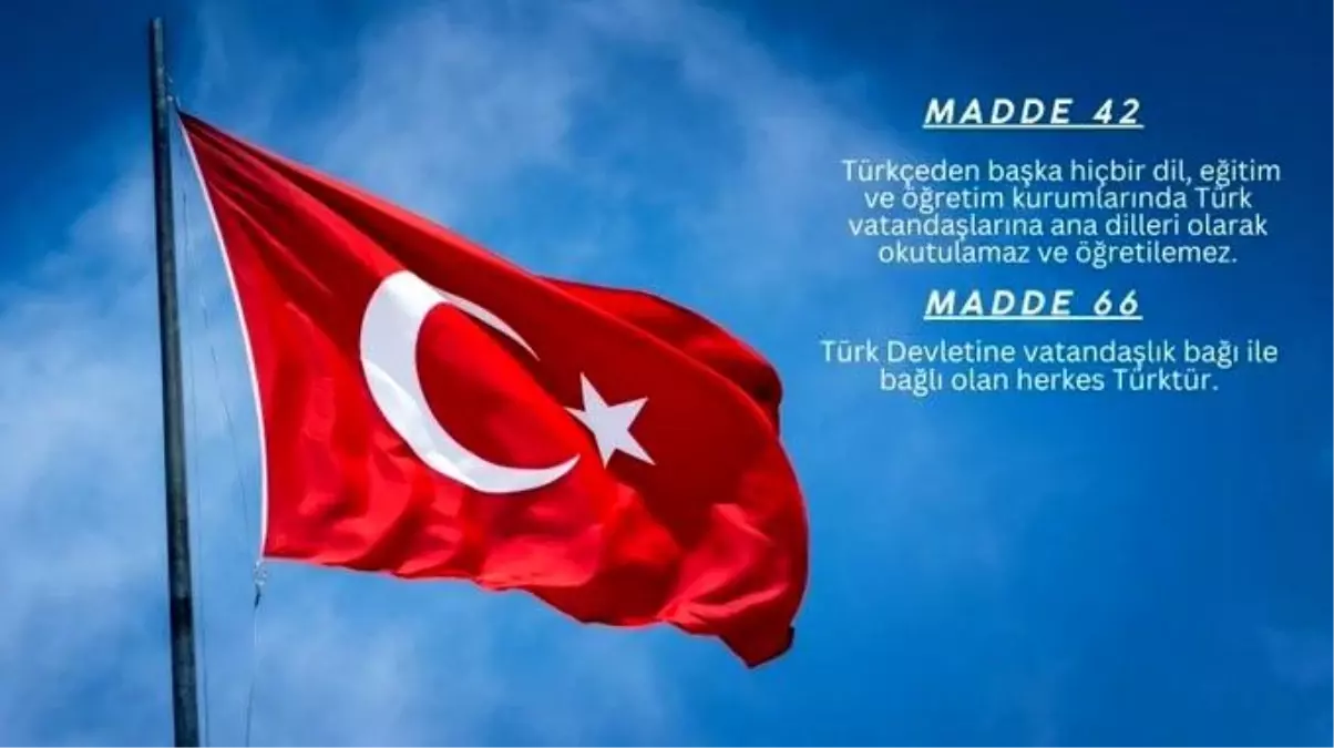 turk egitim senden ana dilde egitim aciklamasi anayasanin ihlali 6kNFhPQQ.jpg