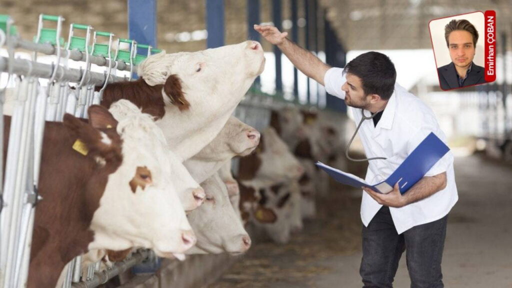 Türkiye’de Memurların Alacakları Erteleniyor: “Emekçinin Emeği Üzerinden Tasarruf Yapılamaz”